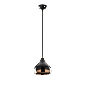 Závesné svietidlo v čierno-medenej farbe Opviq lights Yildo, ø 17 cm