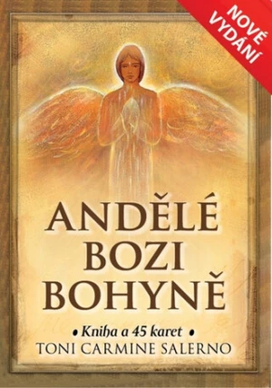 Andělé bozi bohyně - Toni Carmine Salerno