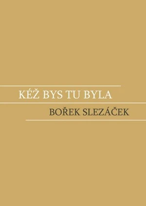 Kéž bys tu byla - Bořek Slezáček - e-kniha