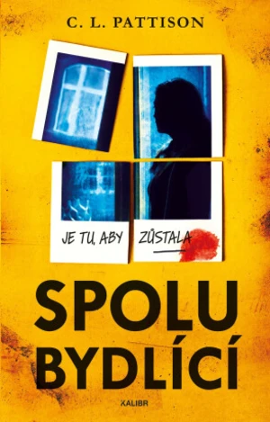 Spolubydlící - Pattison C. L. - e-kniha