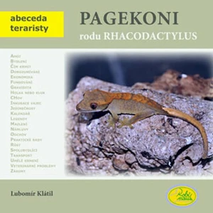 Pagekoni rodu Rhacodactylus - Lubomír Klátil