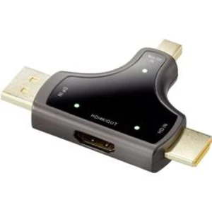 DisplayPort / HDMI adaptér Renkforce RF-3846636, černá