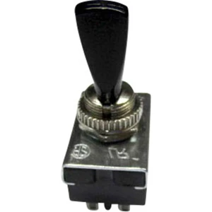 TRU COMPONENTS TC-R13-25E1-05 pákový spínač 250 V/AC 6 A 2x zap/vyp/zap  s aretáciou/0/s aretáciou  1 ks