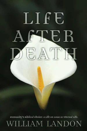 Life After Death