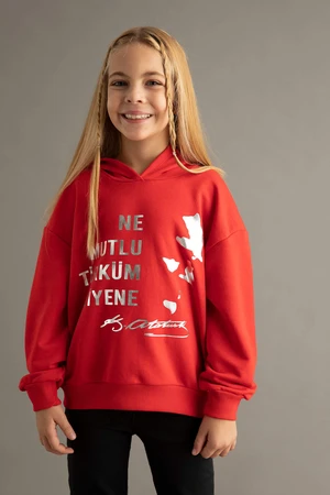 DEFACTO Regular Fit Hooded Sweatshirt