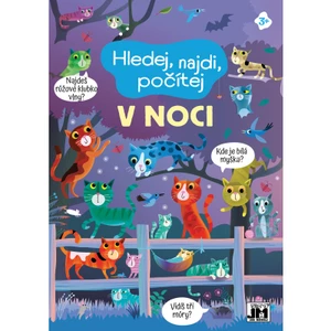 Hledej, najdi, počítej/ V noci