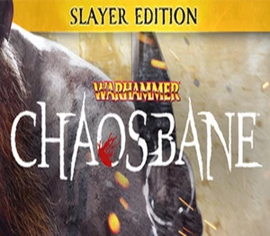 Warhammer: Chaosbane Slayer Edition AR XBOX One CD Key