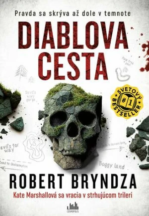 Diablova cesta - Robert Bryndza