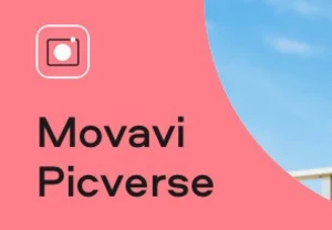Movavi Picverse - Photo Editing Software Steam CD Key