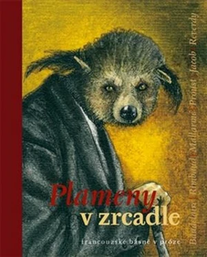 Plameny v zrcadle - Helena Wernischová