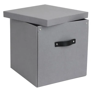 Svetlosivá úložná škatuľa Bigso Box of Sweden Logan