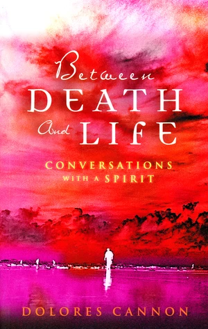 Between Death and Life â Conversations with a Spirit