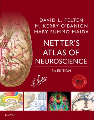 Netter's Atlas of Neuroscience E-Book