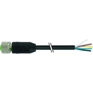 Neupravený zástrčkový konektor pro senzory - aktory Murr Elektronik 7000-19041-7051000 10.00 m, 1 ks