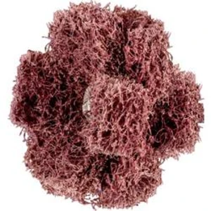 KOŇSKÉ brusné hvězdy PFERD 44698384 Průměr 38 mm