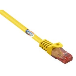 Síťový kabel RJ45 Basetech BT-1719391, CAT 6, U/UTP, 1.00 m, žlutá