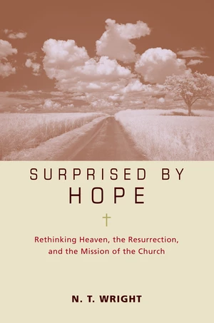 Surprised by Hope Bible Study Participant's Guide
