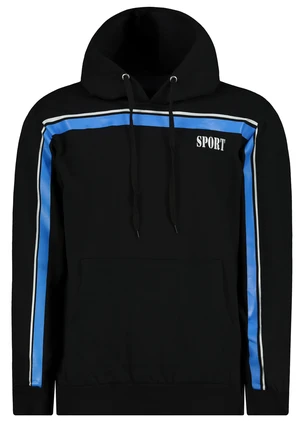 Men's hoodie Aliatic Sport