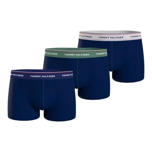 Tommy Hilfiger Woman's Underpants UM0UM016420Y0 Navy Blue