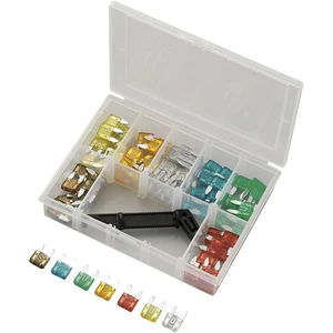 TRU COMPONENTS Y101-70TS 700027 Mini plochá pojistka 5 A, 7.5 A, 10 A, 15 A, 20 A, 25 A, 30 A  71 ks