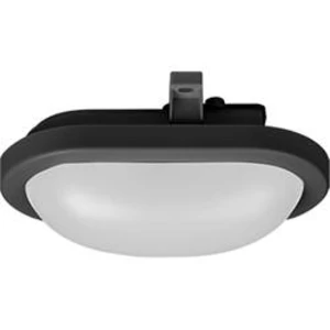 LED stropní svítidlo Mlight 81-4183, 12 W, N/A, černá