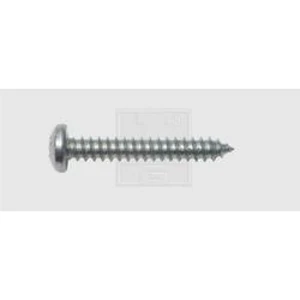 Šroub do plechu SWG 115299525, N/A, 9.5 mm, ocel, 100 ks