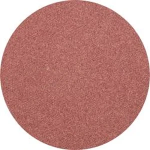 Brusný list PFERD 42770518 Zrnitost 180, (Ø) 50 mm, 100 ks