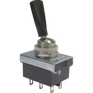 TRU COMPONENTS TC-R13-25B1-05 pákový spínač 250 V/AC 6 A 2x zap/zap  s aretáciou 1 ks