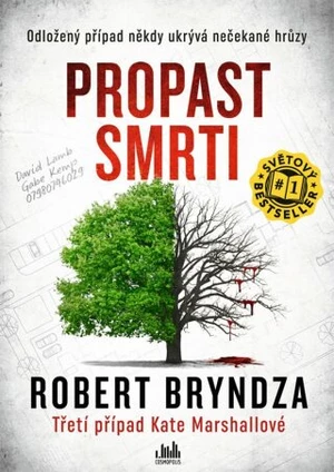 Propast smrti - Robert Bryndza - e-kniha