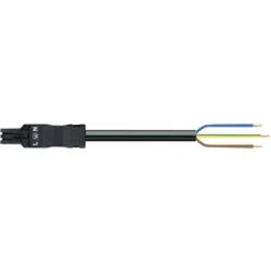 Napájecí kabel, zásuvka 3pól., otevřený konec WAGO 891-8993/105-201, 1.5 mm², černá, 2 m