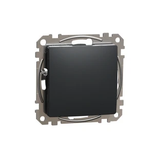 Schneider Electric Sedna Design/Elements záslepka antracit SDD114904