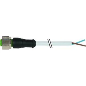 Neupravený zástrčkový konektor pro senzory - aktory Murr Elektronik 7000-15001-4140500 5.00 m, 1 ks
