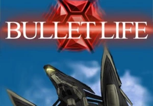 Bullet Life 2010 Steam CD Key
