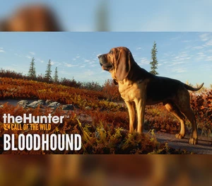 theHunter: Call of the Wild - Bloodhound DLC Steam CD Key