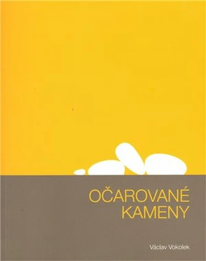 Očarované kameny + CD - Václav Vokolek