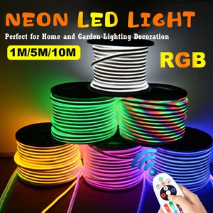 1M/5M/10M 220V 5050RGB LED Strip 60LED/M Waterproof Tape Neon Flex Lights Rope Plug