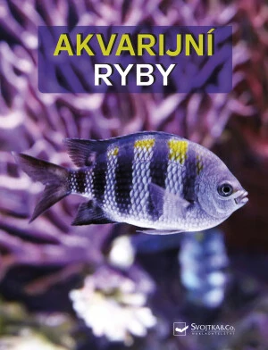 Akvarijní ryby - Kahl Wally, Kahl Burkard, Vogt Dieter