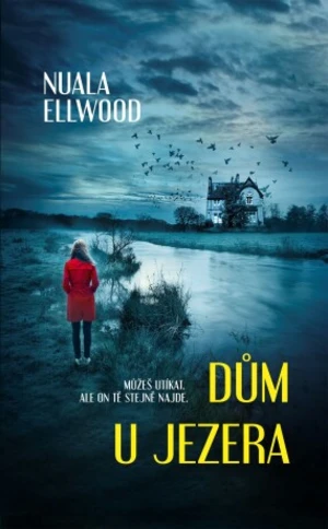 Dům u jezera - Nuala Ellwood - e-kniha