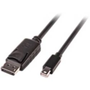DisplayPort / Mini-DisplayPort kabel LINDY [1x mini DisplayPort zástrčka - 1x zástrčka DisplayPort] černá 3.00 m