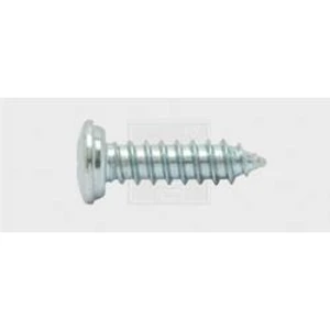 Šrouby do nástěnných štítků SWG 1030551925, N/A, 19 mm, ocel, 100 ks