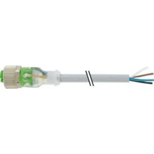 Neupravený zástrčkový konektor pro senzory - aktory Murr Elektronik 7000-12291-2340100 1.00 m, 1 ks