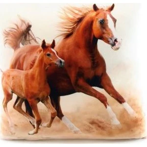 Polštářek koně 33 x 33 cm Polštářek koně 33 x 33 cm