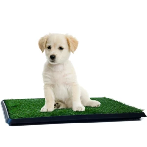 76*51cm Pet Artificial Grass Mat Dog Area Landscape Lawn Toilet Synthetic Turf Cat Puppy