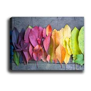 Obraz Tablo Center Gradient Leaves, 70 × 50 cm