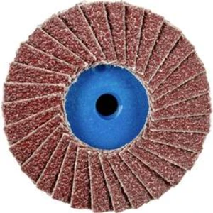 Vějířovitý brusný kotouč PFERD CD PFF 50 A 40 42719104, Ø 50 mm/