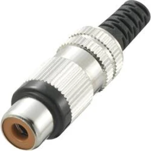 Cinch konektor Conrad Components 719381 zásuvka, rovná, pólů 2, zelená, 1 ks