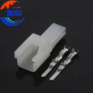 Auto 2pin plug 6090-1031 electrical electric connector with terminals