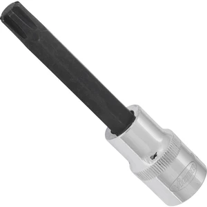 Vigor  V2216 vnútorné klinový profil nástrčný kľúč   M10   1/2" (12.5 mm)