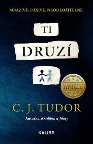 Ti druzí - C. J. Tudor - e-kniha