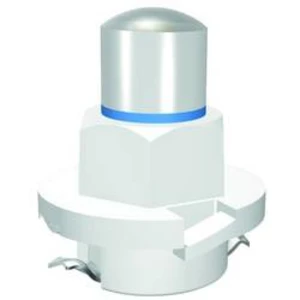 Indikační LED Signal Construct MWTB8474, B8.0-12 (EBSR/BAX) (podobná), 24 V/AC, 24 V/DC, 400 mcd, zelená